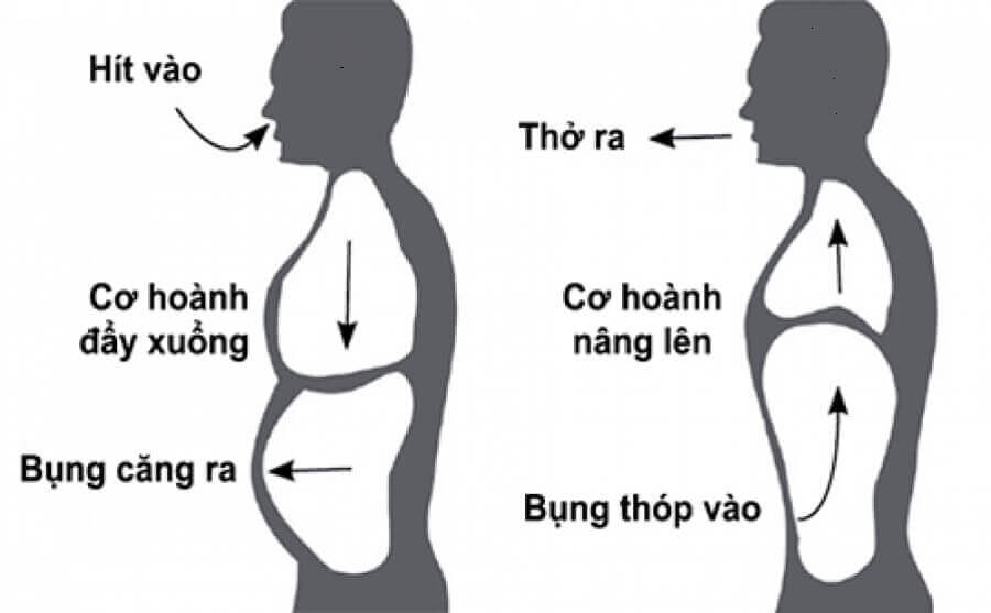 co-che-hit-tho-co-hoanh